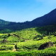 Munnar Image